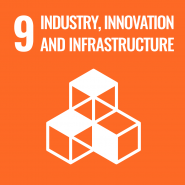 Industry, innovation and infraestructure